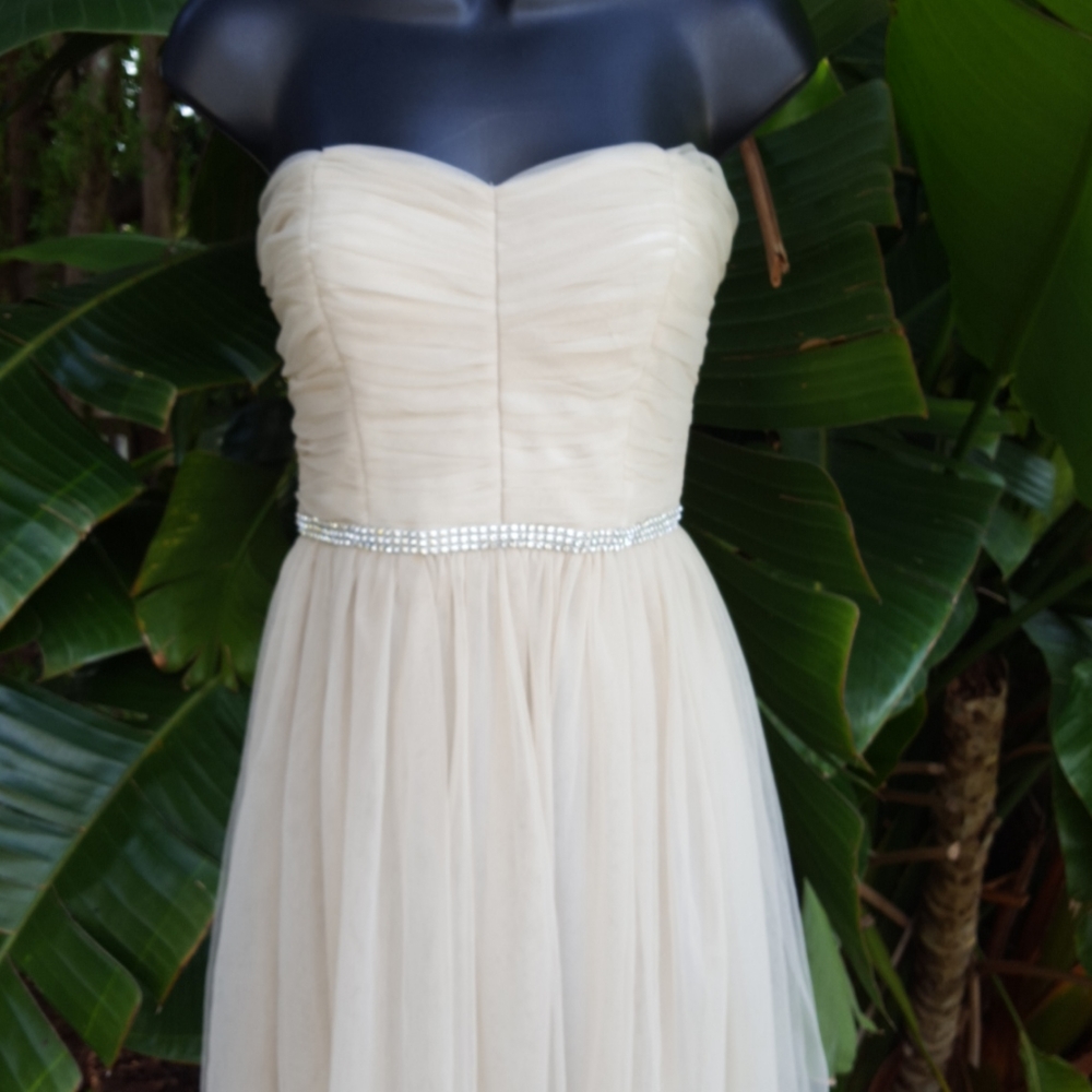 Minuet Strapless corset dress - Picture 2 of 5
